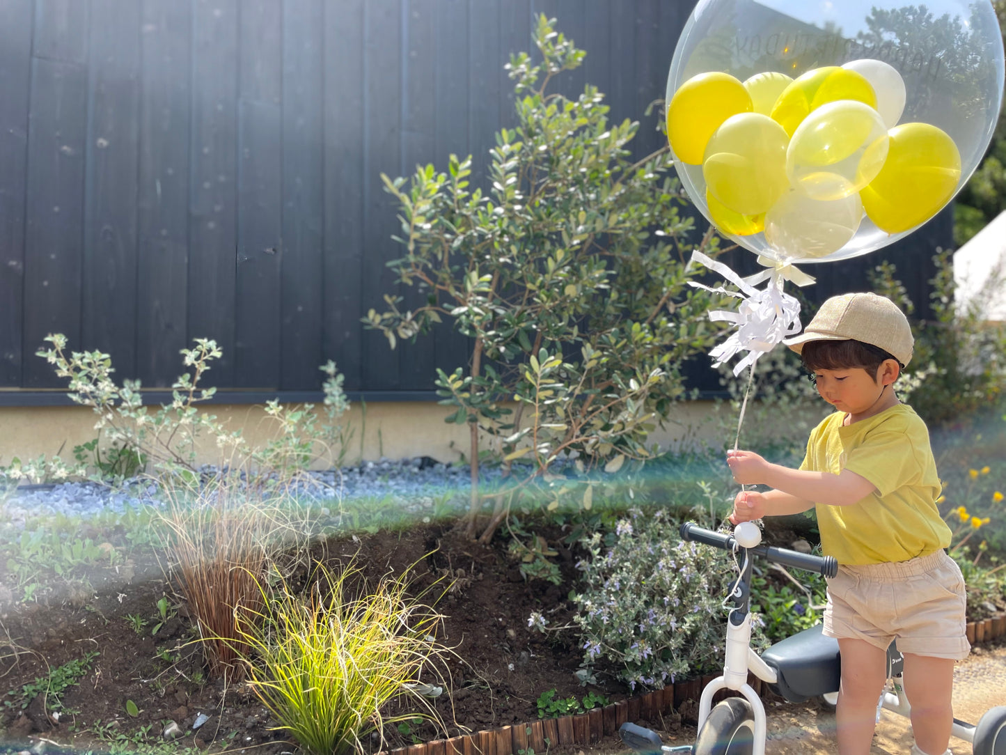 【bubble balloon】DAISY