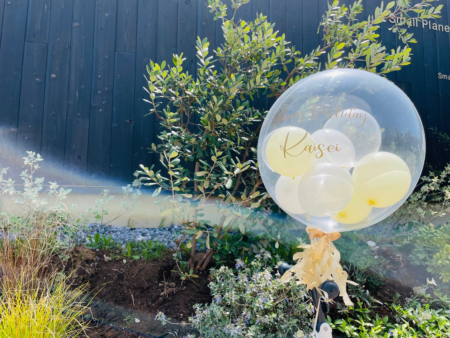 【bubble  balloon】lemon